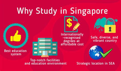 What is Higher Education in Singapore?