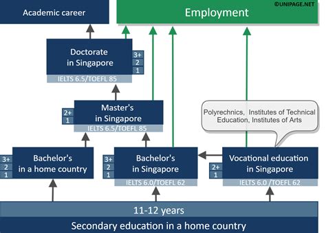 What is the Process to Higher Education in Singapore?